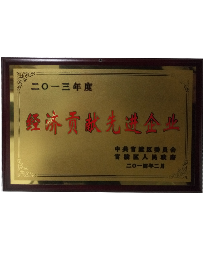 2013年經(jīng)濟貢獻先進企業(yè)