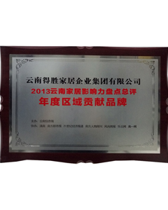 2013年年度區(qū)域貢獻品牌